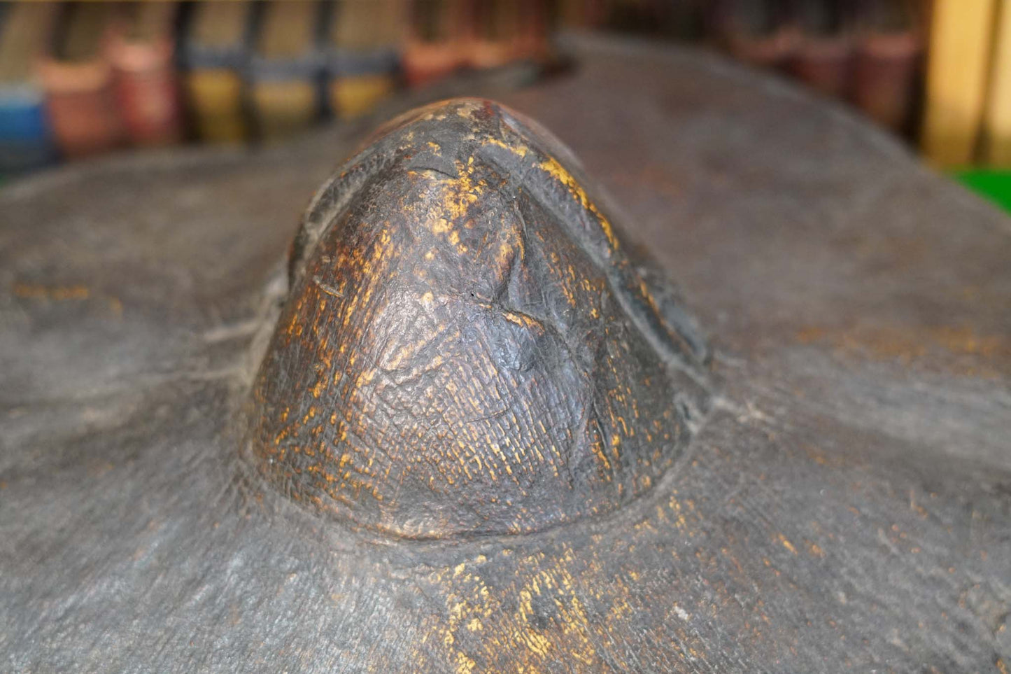 Elephant Skin Shield from the Maasai Tribe