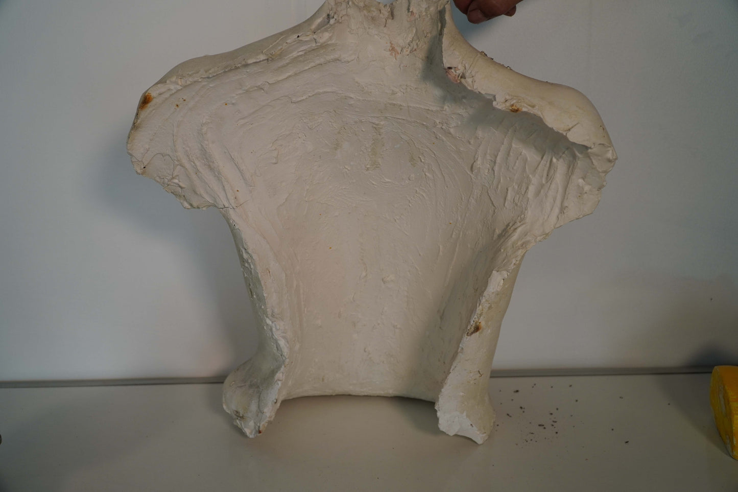 Prosthetic Mold by Christopher Tucker – Female Torso Cast