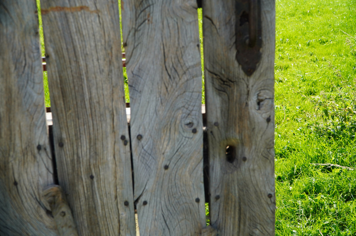 Rustic Reclaimed Wood Door with Vintage Metal Hardware